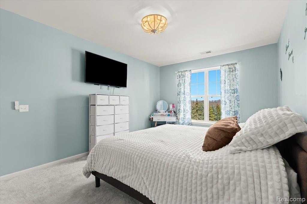 10036 RIDGE RUN Street, Howell, MI 48855 — Photo 14