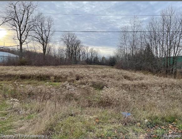 0 Van Dyke Road, Almont, MI 48003