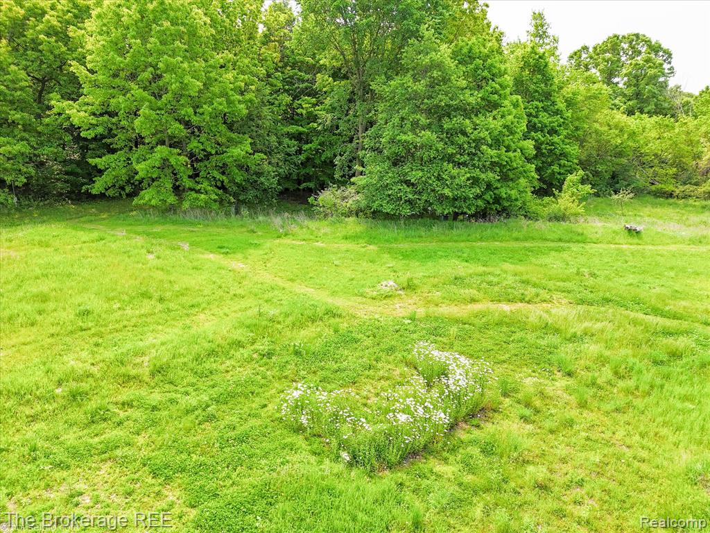 11305 Cook Road, Gaines Vlg, MI 48436 — Photo 66