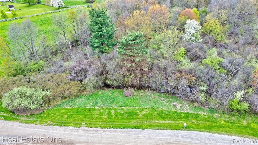 590 Judi Ann Lane, Holly, MI 48442 — Photo 4