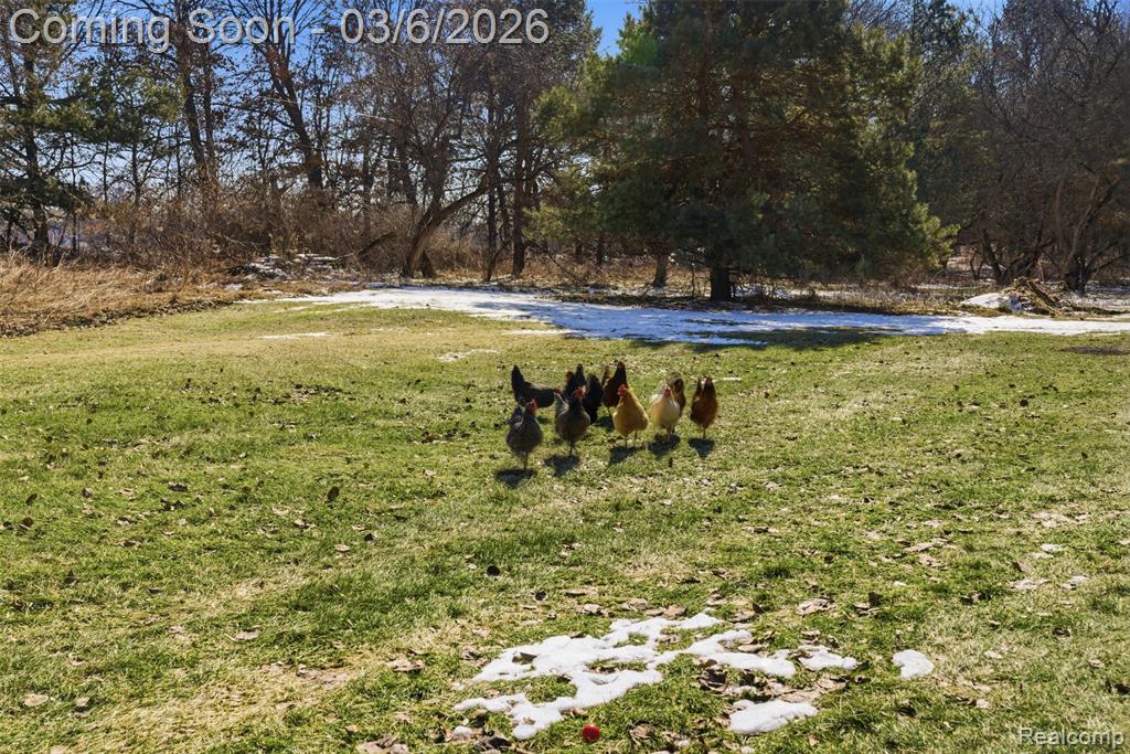 5809 Spears Road, Pinckney, MI 48169 — Photo 41