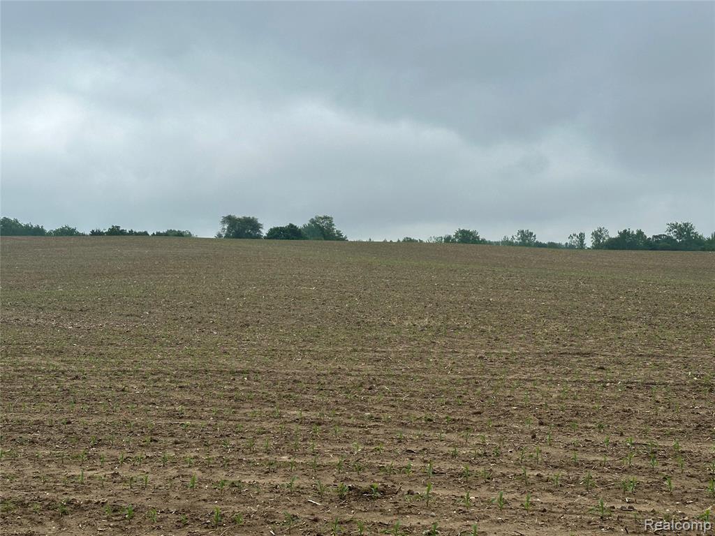 VL Mertz Road, Mayville Vlg, MI 48744 — Photo 26
