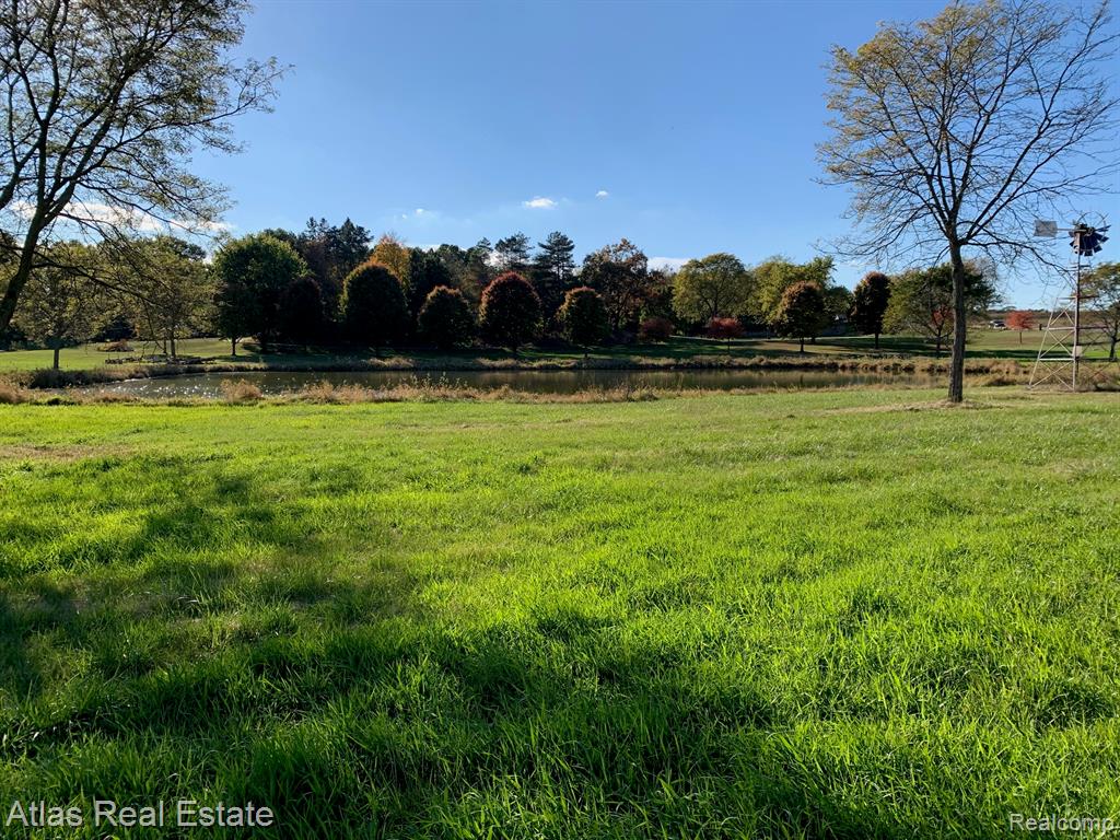 10020 Strawberry Trail, Goodrich Vlg, MI — Photo 5