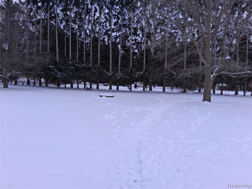 4063 Mason Road, Howell, MI 48843 — Photo 12