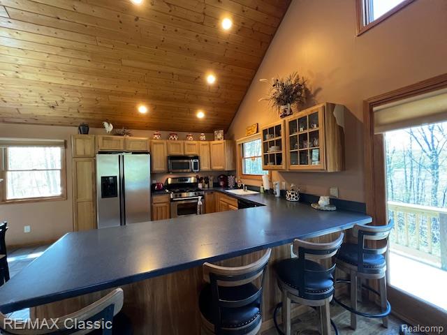 5091 W Kinney Road, Ludington, MI 49431 — Photo 9
