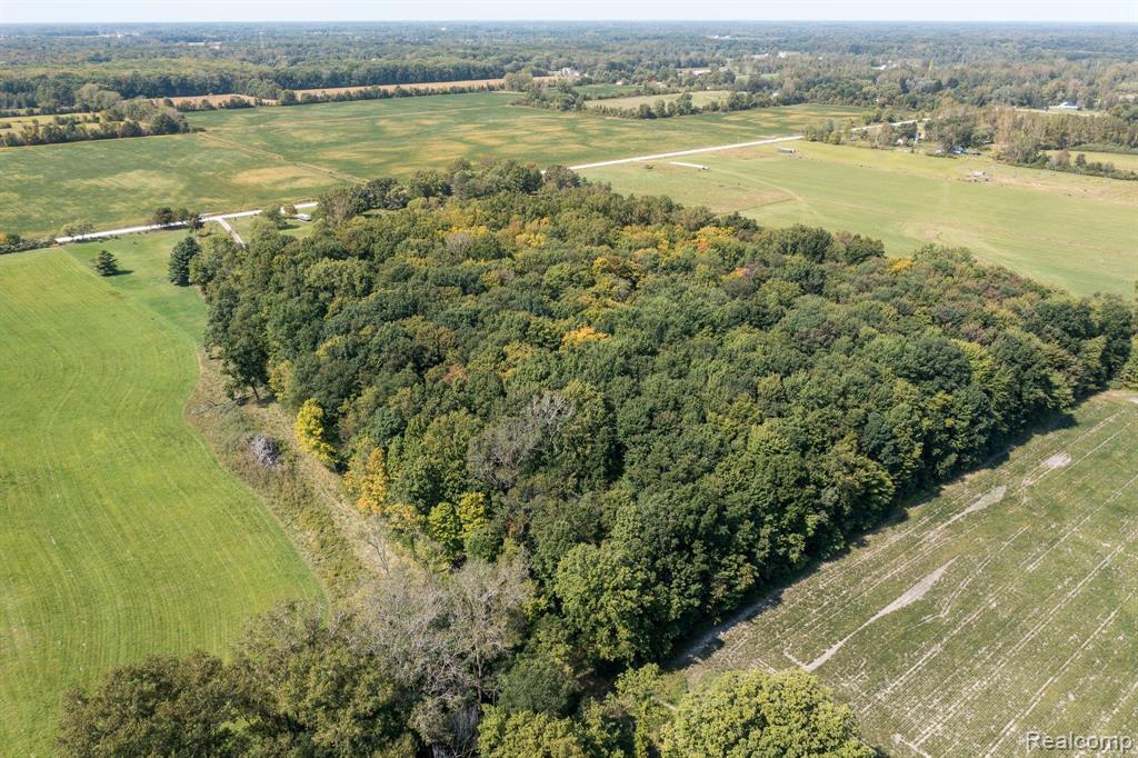 224 PALMS Road, Wales, MI — Photo 29