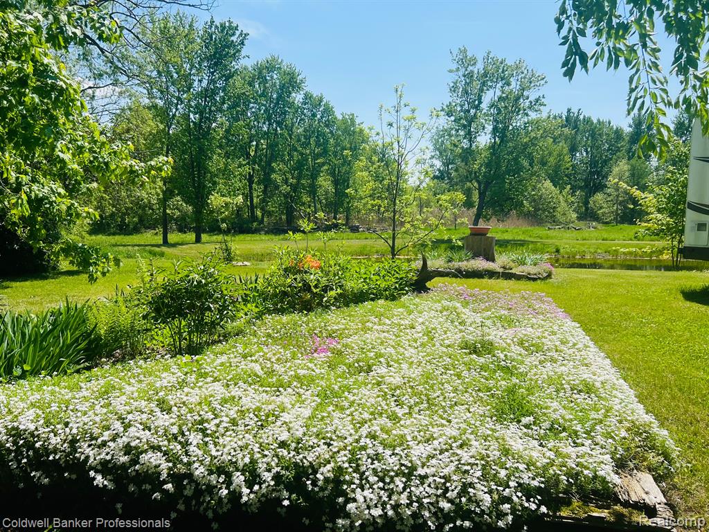 6125 JEFFERSON Road, North Branch, MI 48461 — Photo 5