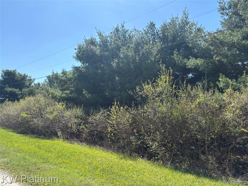 Parcel B Wicha Drive, Burtchville, MI 48059 — front exterior