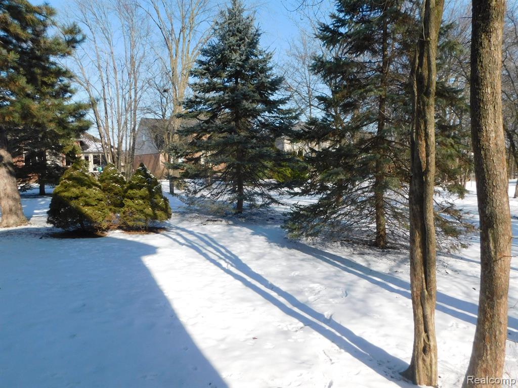 43175 W KIRKWOOD Drive, Clinton Twp, MI 48038 — Photo 59