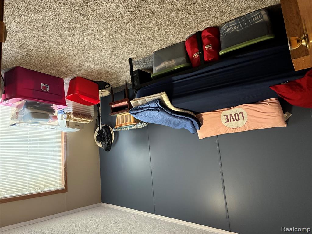 7317 Lads Court, Alma, MI 48801 — Photo 11
