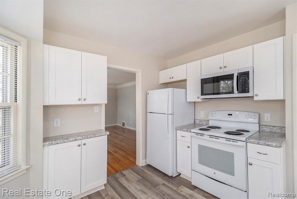 1105 Birk Avenue, Ann Arbor, MI 48103 — Photo 11