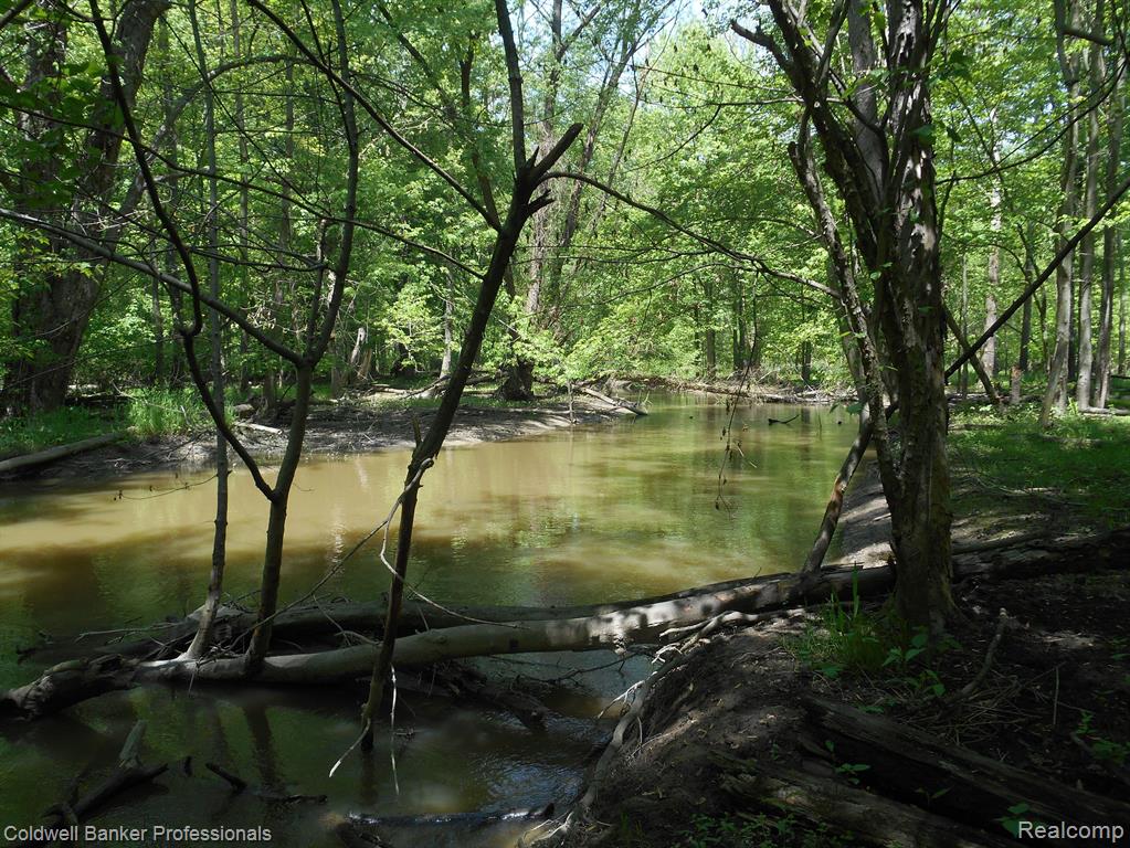 1651 CASTLE Road, North Branch, MI 48461 — Photo 20