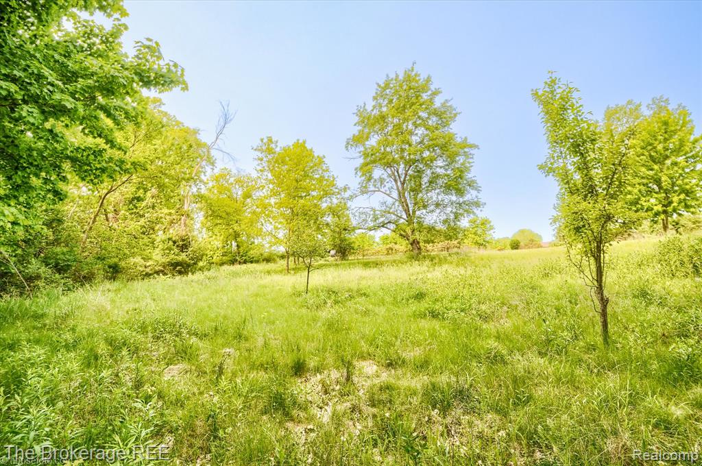 11305 Cook Road, Gaines Vlg, MI 48436 — Photo 53