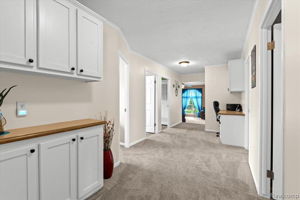 11855 CEDARBROOK Drive, South Lyon, MI 48178 — Photo 14