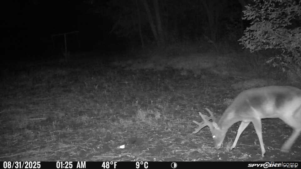 V/L BLAKE Road, Jackson, MI 49201 — Photo 8