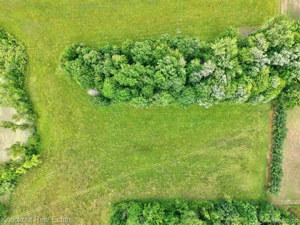 4500 Birch Run Road, Millington, MI 48746 — Photo 14