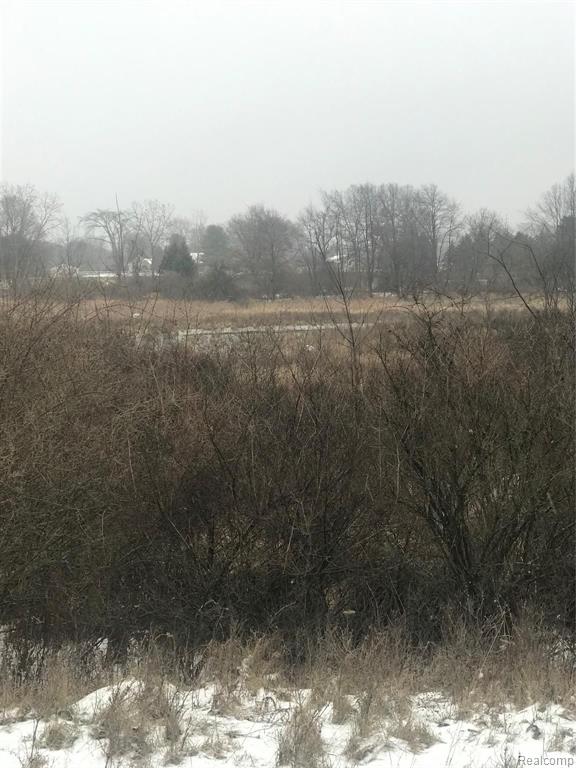 VL Hinchey Road, Pinckney, MI 48169 — Photo 3