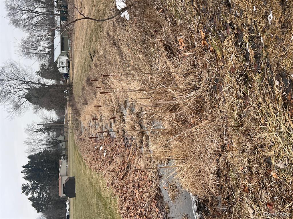 VL Washington Street, Perry, MI 48872 — Photo 10