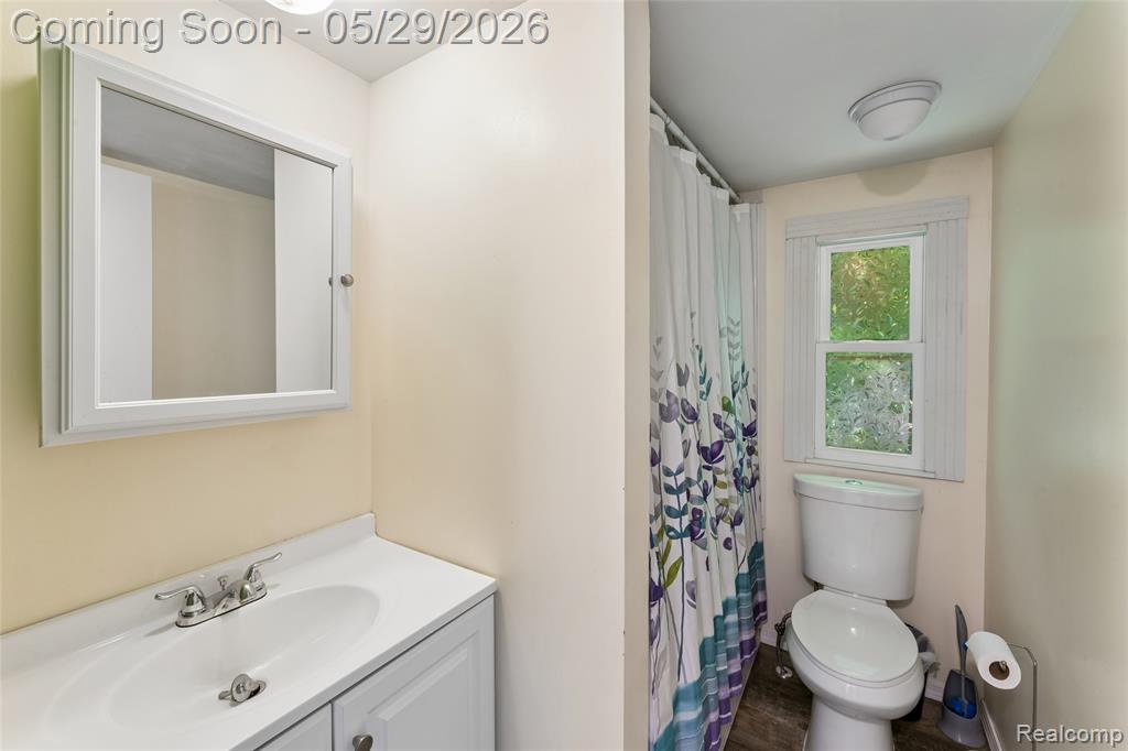 175 Mill Street, Attica, MI 48412 — Photo 14