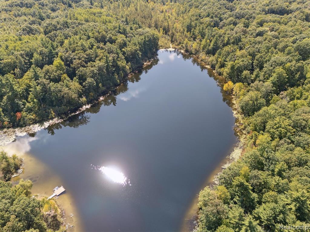 267 W Barnes Lake Road, Columbiaville, MI 48421 — Photo 38
