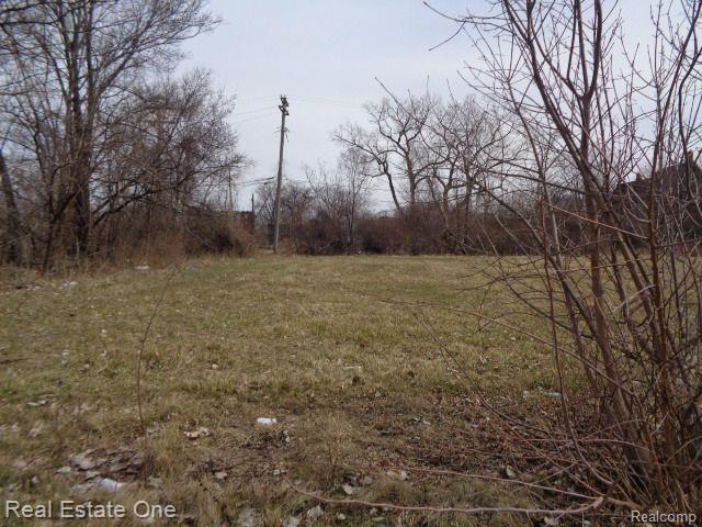 612 CONCORD Street, Detroit, MI 48207 — Photo 2