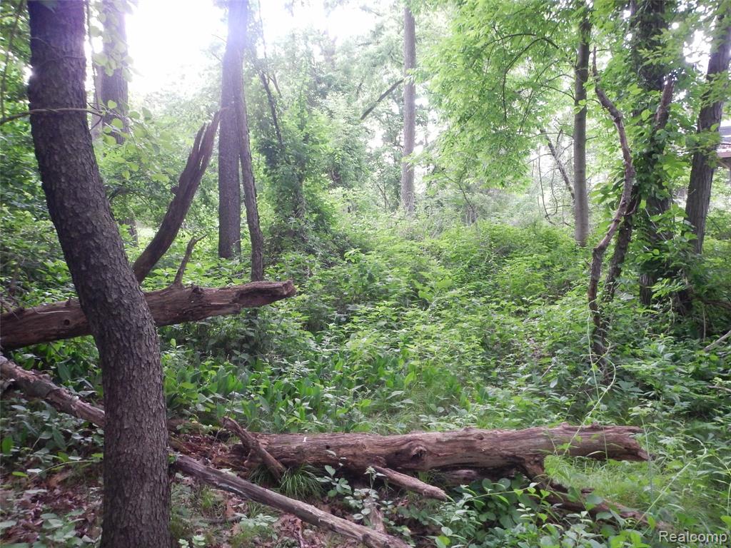 Search Homes for Sale