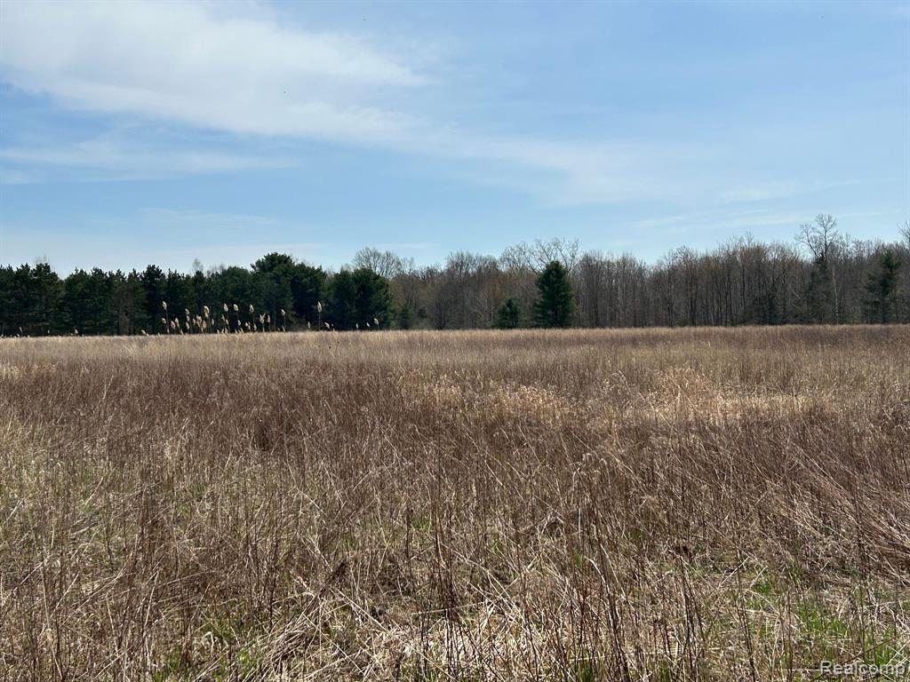 4215 JOSHUA Road, Cass City, MI 48726 — Photo 20