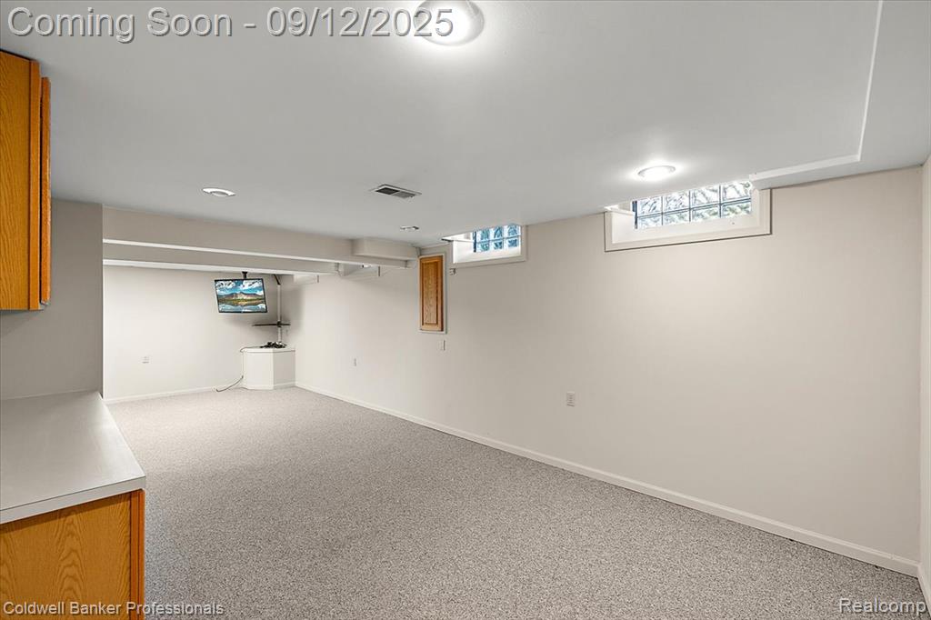 49238 Plum Tree Drive, Plymouth, MI 48170 — Photo 56