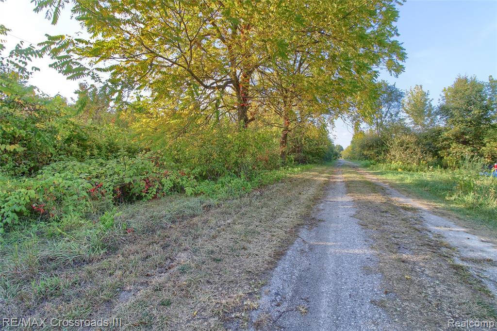49765 Willis Road, Sumpter, MI 48111 — Photo 7