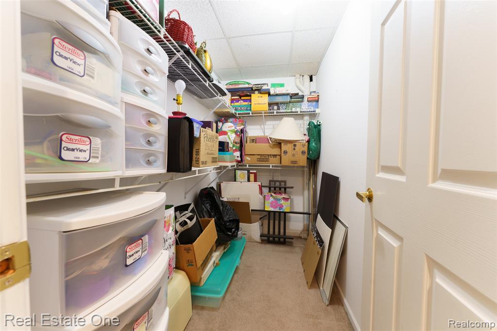 167 Forest Valley Court, Pinckney, MI 48169 — Photo 49