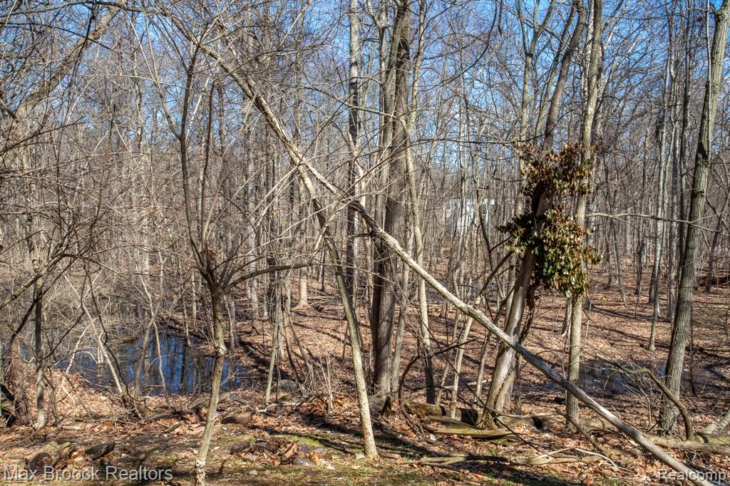 30875 Franklin Road, Franklin, MI 48025 — Photo 80