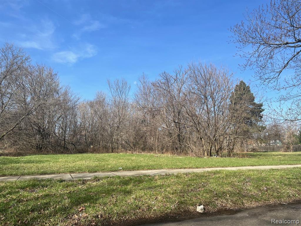 3561 LOVETT Street, Detroit, MI 48210 — Photo 10