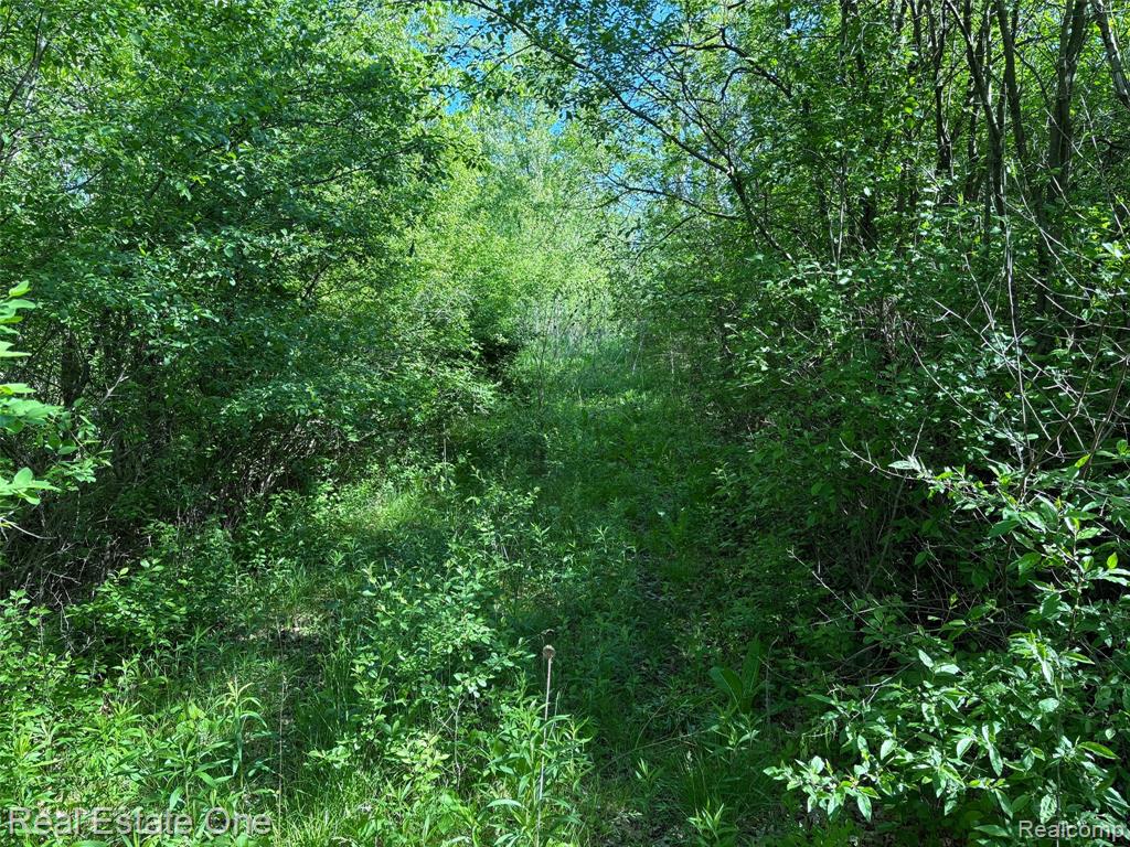 2983 N Harris Road, Ypsilanti, MI 48198 — Photo 9