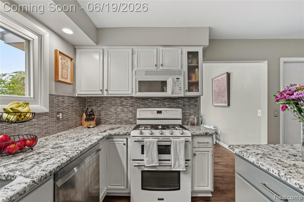 45209 Saltz Road, Canton, MI 48187 — Photo 17