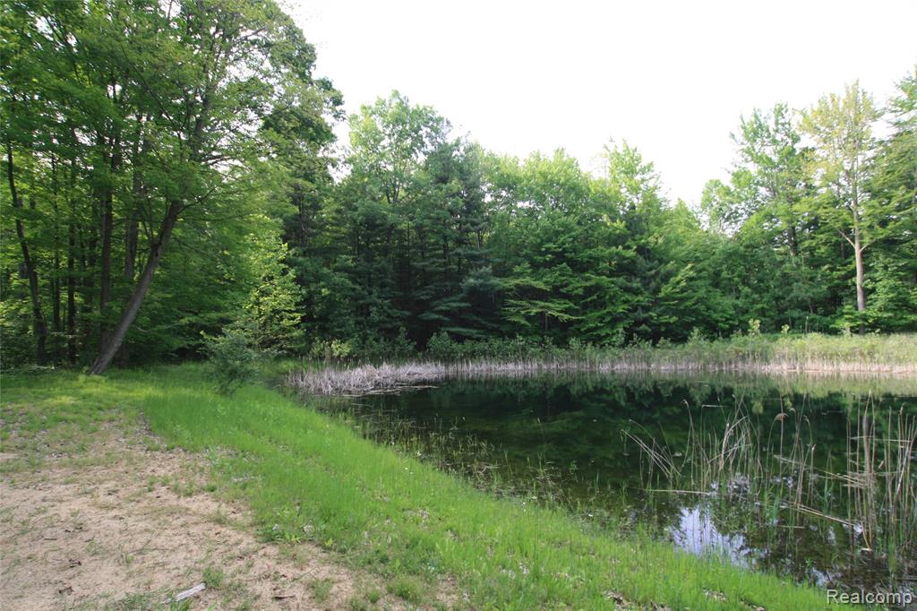 12850 East Road, Burt, MI 48417 — Photo 15