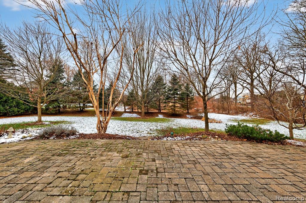 57165 Willow Ridge Boulevard, Washington, MI — Photo 61