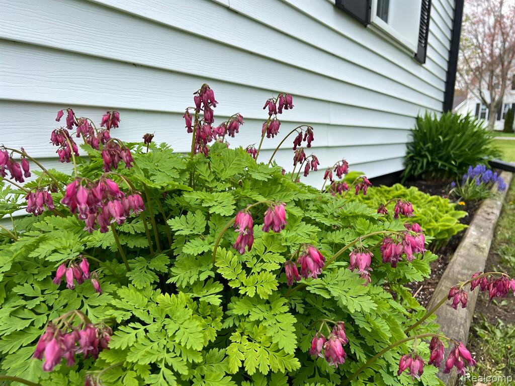 5561 UNION Street, Lexington, MI 48450 — Photo 11