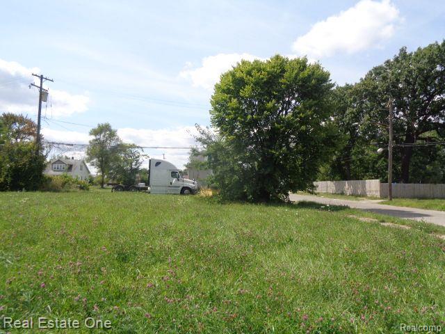 13291 SPARLING Street, Hamtramck, MI 48212 — Photo 2