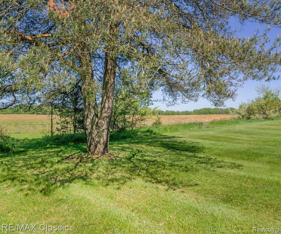 11589 OWOSSO Road, Fowlerville, MI 48836 — Photo 52