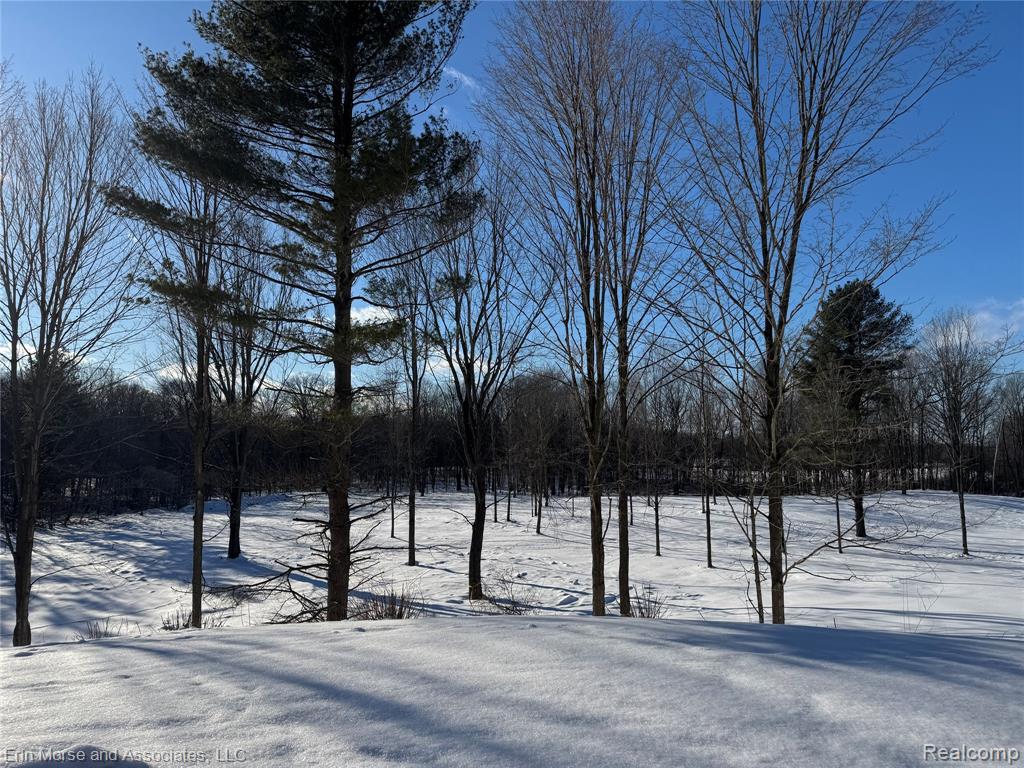 2260 Rock Valley Road, Metamora, MI 48455 — Photo 76