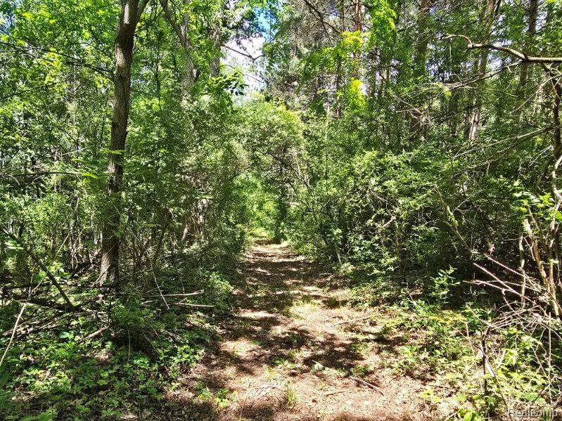 4202 Kingston Road, Kingston, MI 48741 — Photo 40