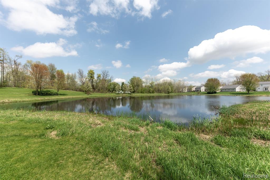 8354 CRAB APPLE Trail, Dexter, MI 48130 — Photo 55