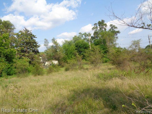 14852 WYOMING Street, Detroit, MI 48238 — Photo 5