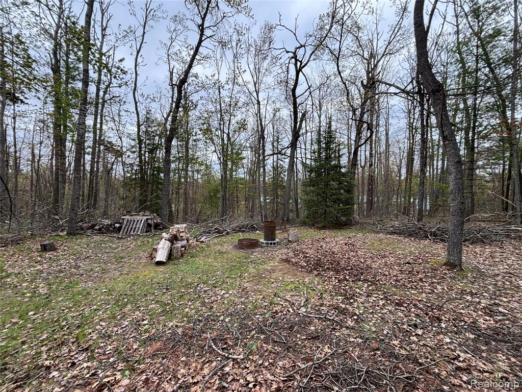 3356 Havenwood Drive, Lewiston, MI 49756 — Photo 38