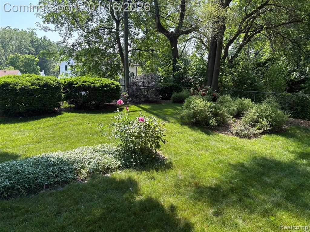 946 Novi Street, Northville, MI 48167 — Photo 18