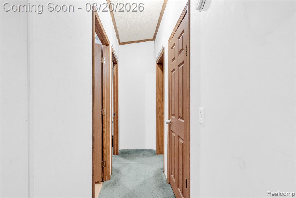 7151 Martin Road, Imlay City, MI 48444 — Photo 17