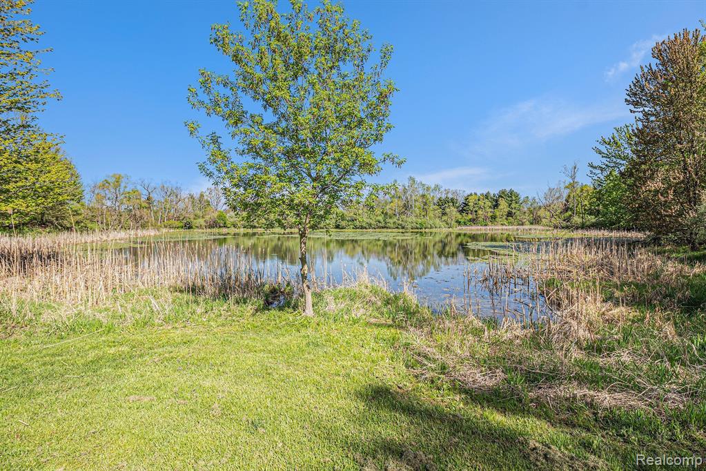 4172 SKINNER LAKE Road, Lapeer, MI 48446 — Photo 27