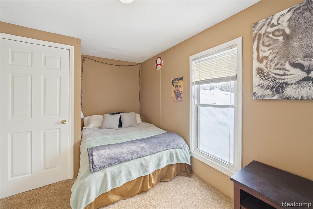 411 City Road, Manchester, MI 48158 — Photo 12