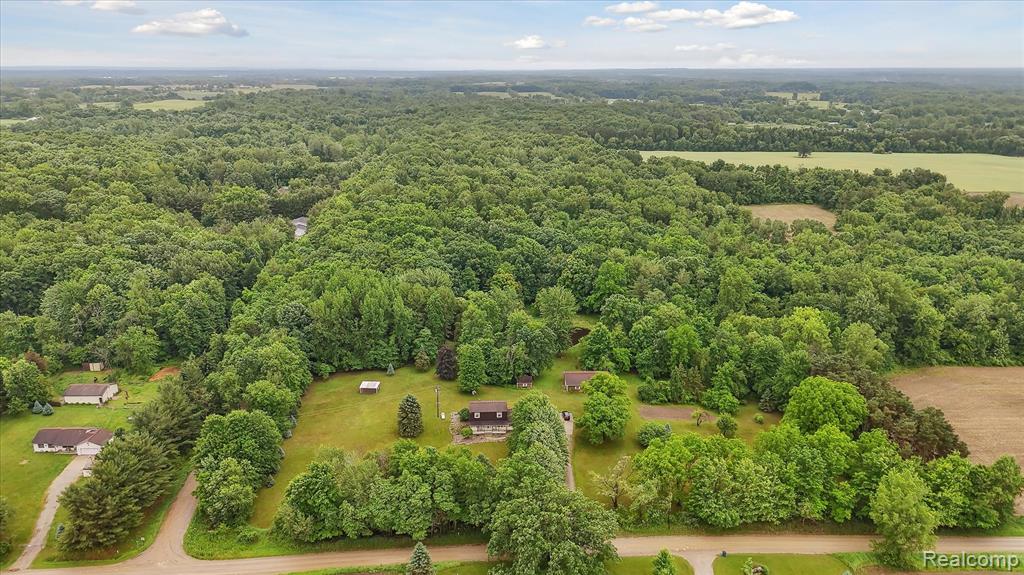 2057 W Brown Road, Mayville Vlg, MI 48744 — Photo 47