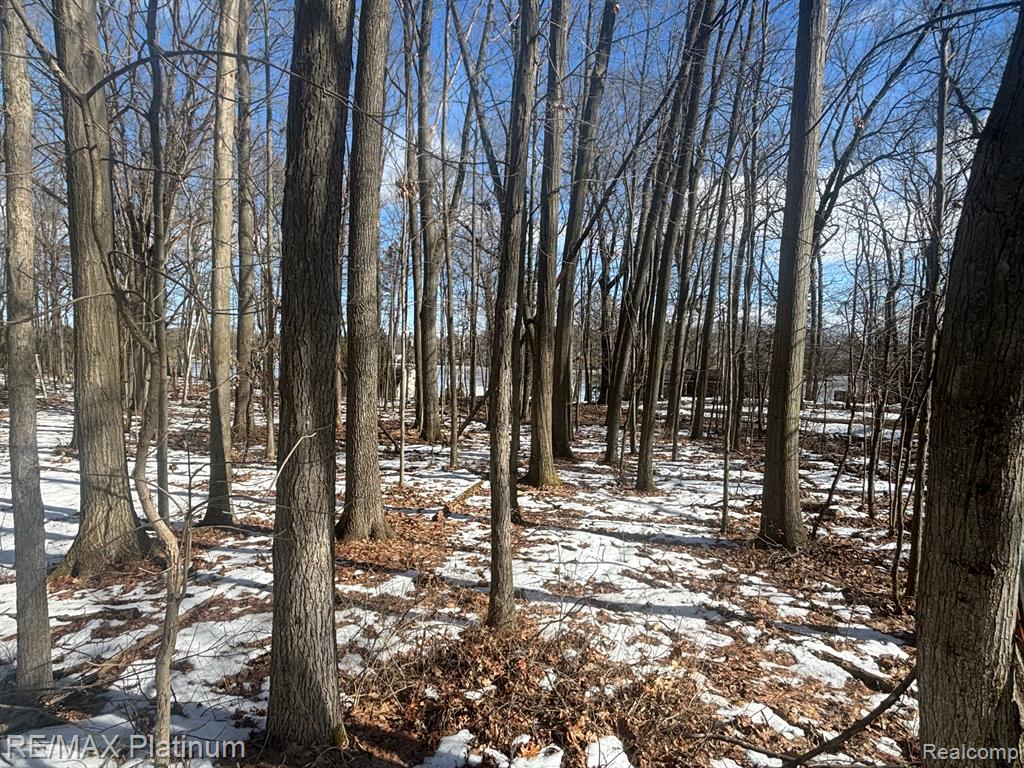 V/L TIPSICO LAKE ROAD, Holly, MI 48442 — Photo 19